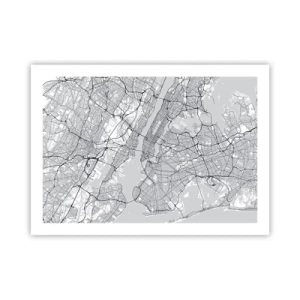 Poster - Anatomia unei metropole - 70x50 cm