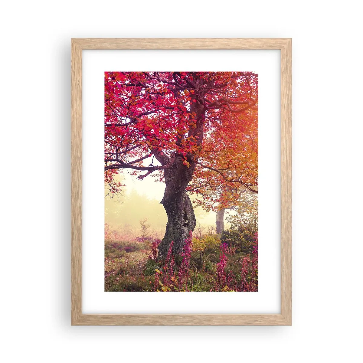 Poster în ramă de stejar deschis - O frenezie de înflorire - 30x40 cm