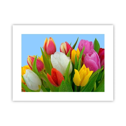 Poster - Un curcubeu floral în picături de rouă - 40x30 cm