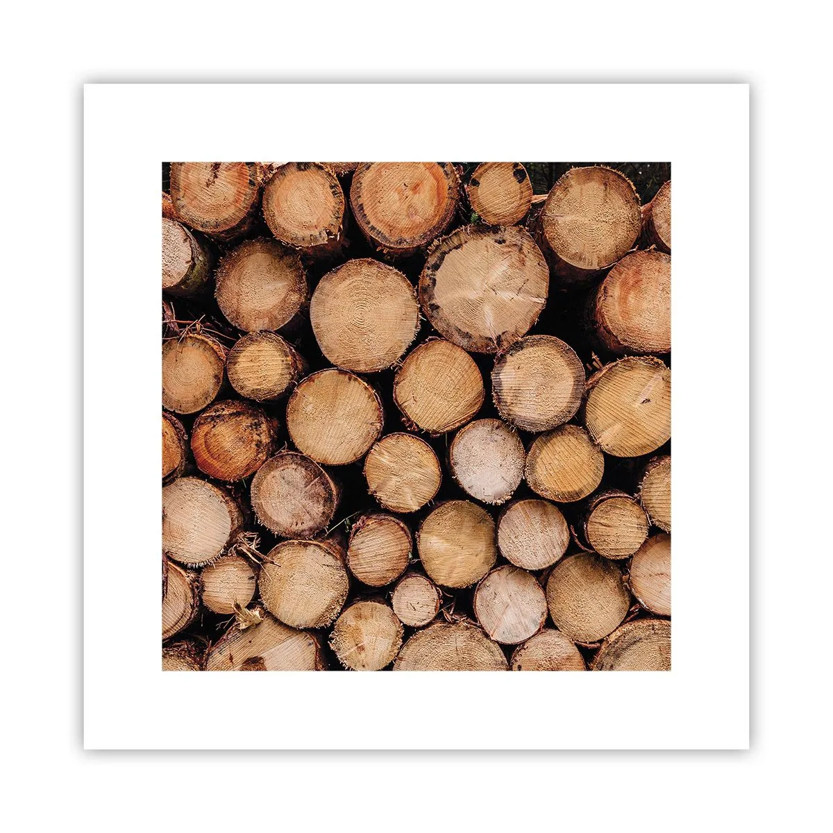 Poster - Un nou început - 30x30 cm