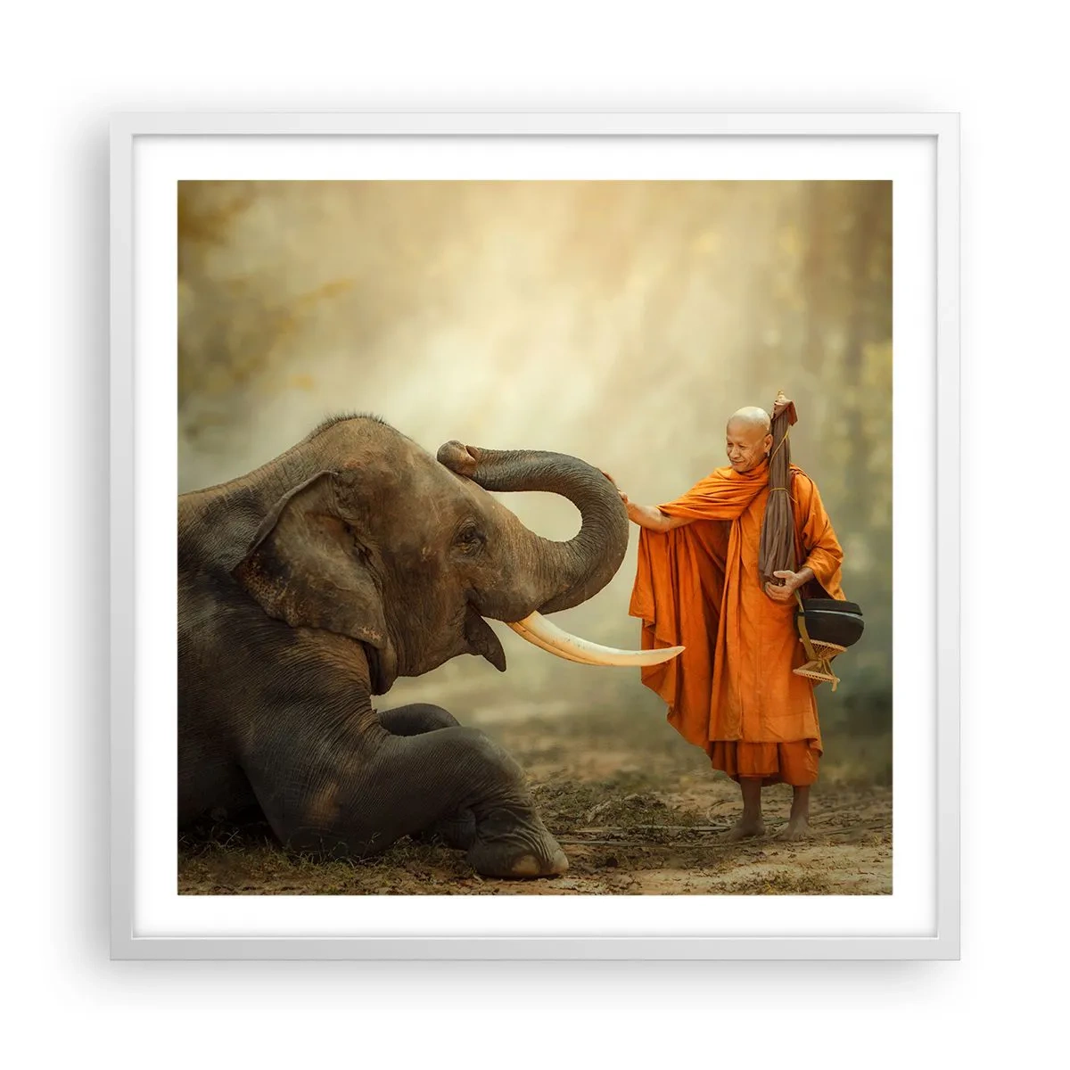 Poster în ramă albă - Întâlnire în călătorie - 60x60 cm