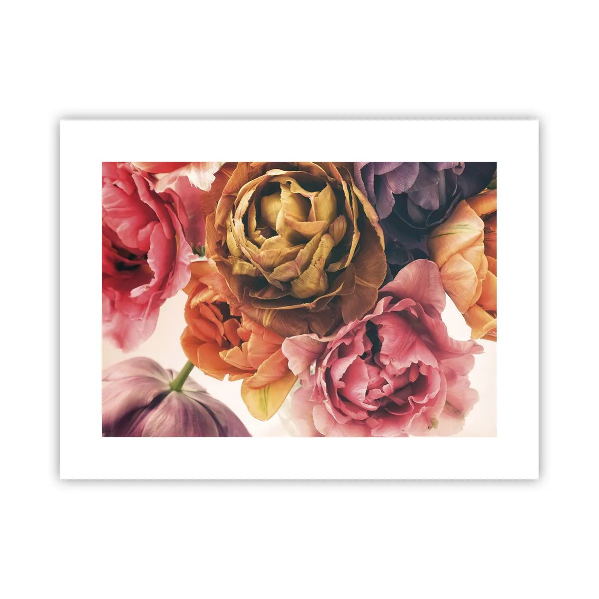 Poster - Sărbătorirea vieții - 40x30 cm