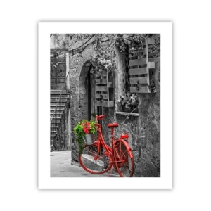 Poster - Alee din Toscana - 40x50 cm