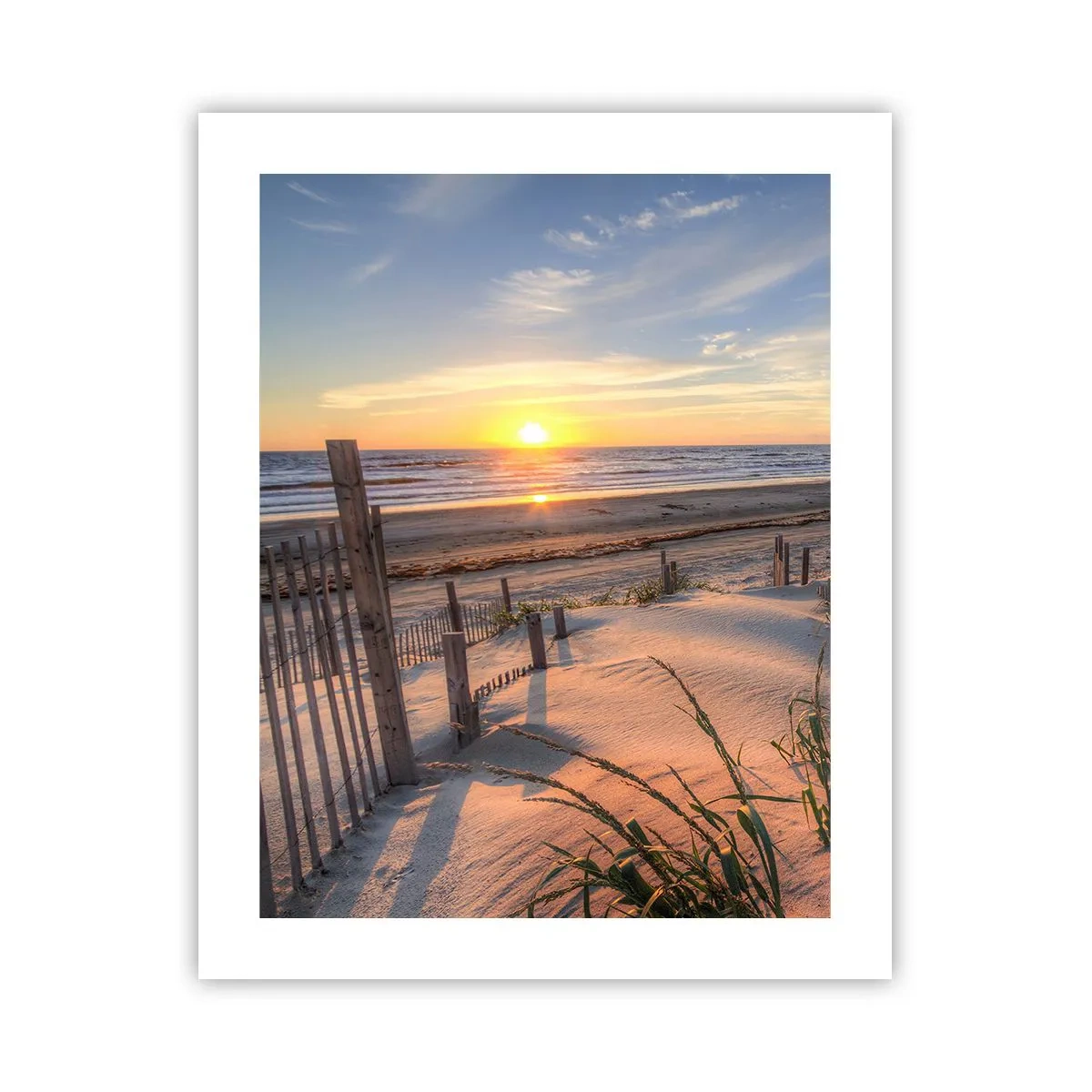 Poster - Strălucirea și umbra vântului - 40x50 cm