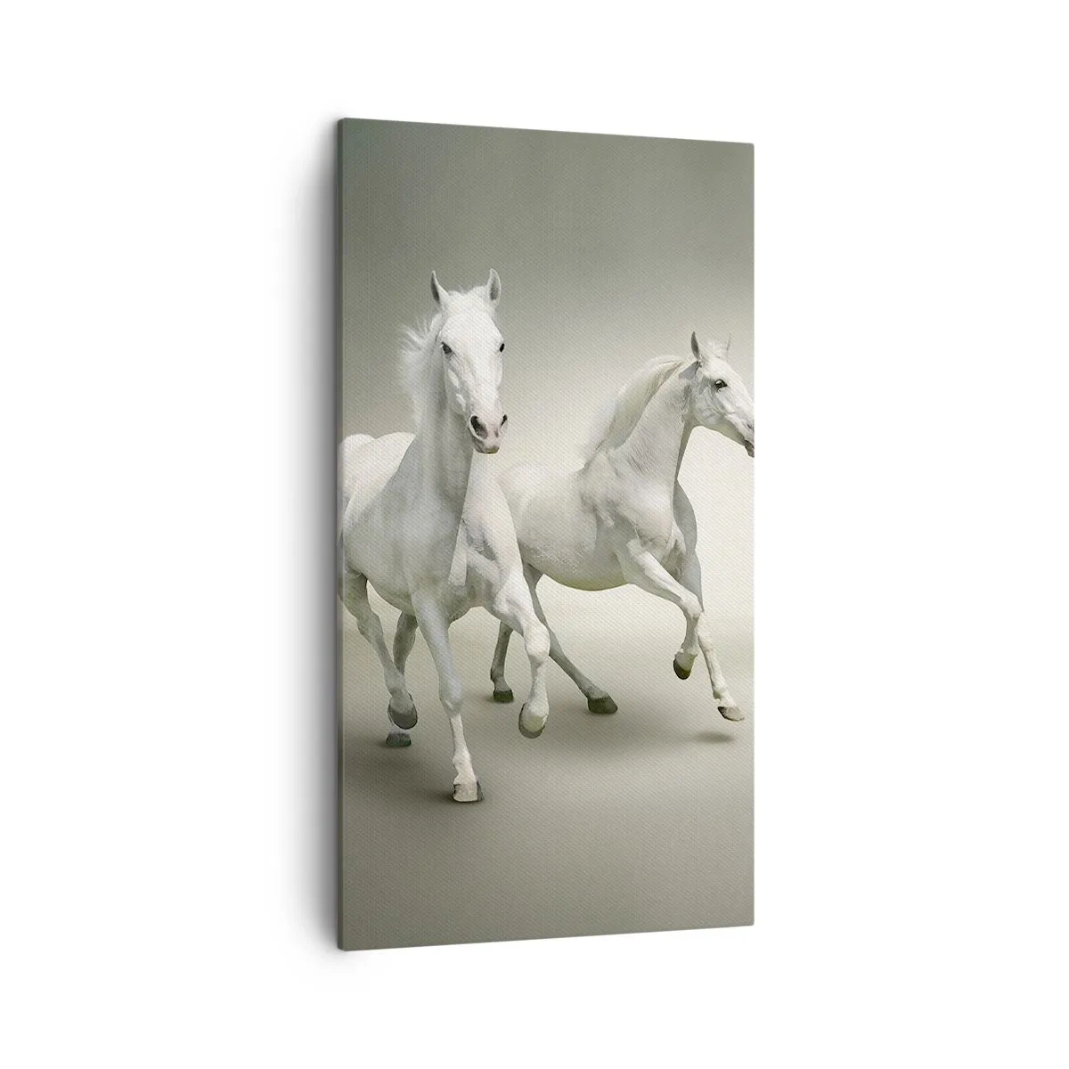 Tablou pe pânză - White power! - 45x80 cm