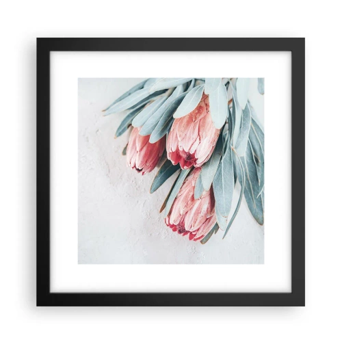 Poster în ramă neagră - Rușinate de propria lor frumusețe - 30x30 cm