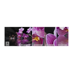 Mostră tapet Premium Canvas - Reflecție de frumusețe în liliac - Flori, Orhidee, Natură - 100x30 cm