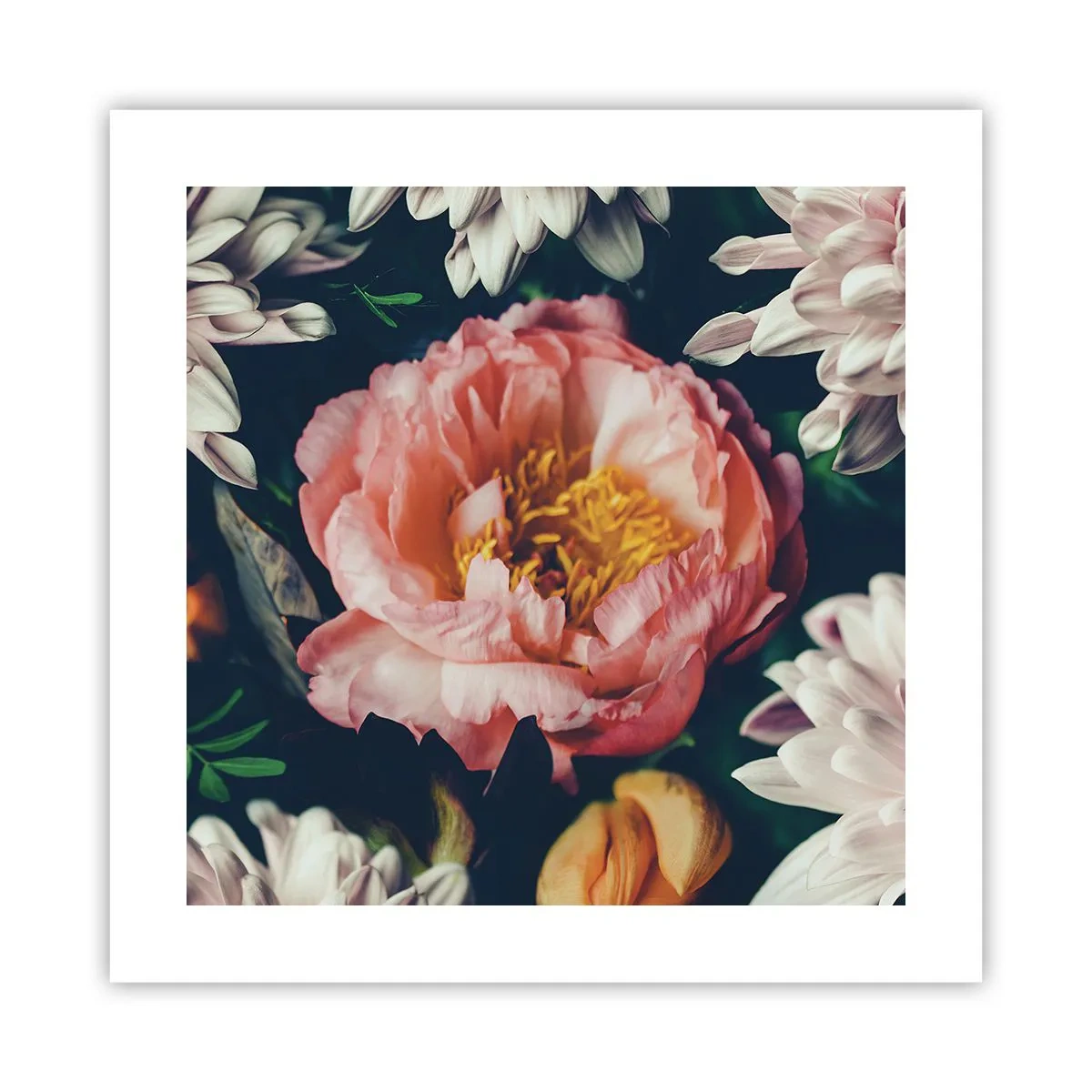 Poster - Cu splendoare barocă - 40x40 cm