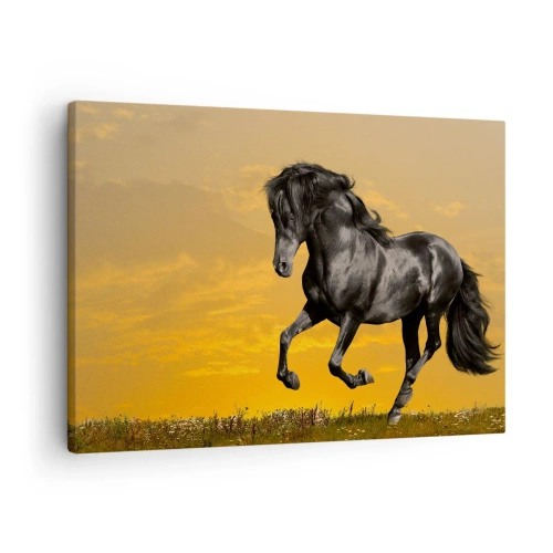 Tablou pe pânză Canvas - Un cal negru galopează pe fundalul unui apus de soare auriu. - 70x50cm - Frumos, liber și sălbatic - Decorațiune modernă pentru perete pentru living și dormitor ARTTOR