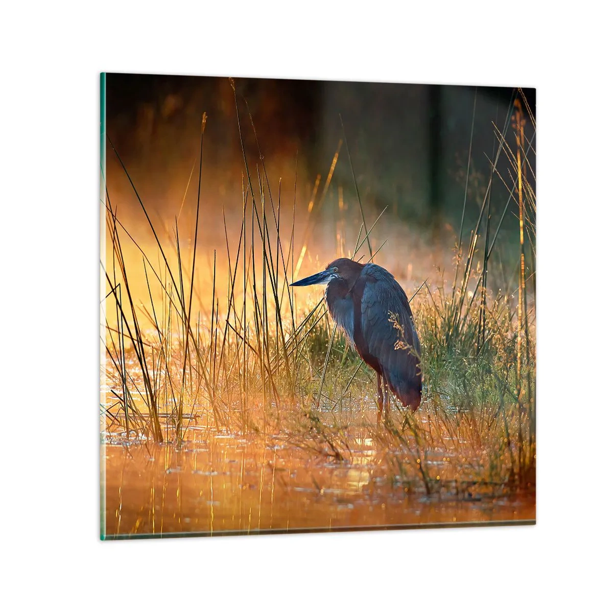 Tablou pe sticlă - Lasă-mă în pace cu aceste fotografii - 40x40 cm