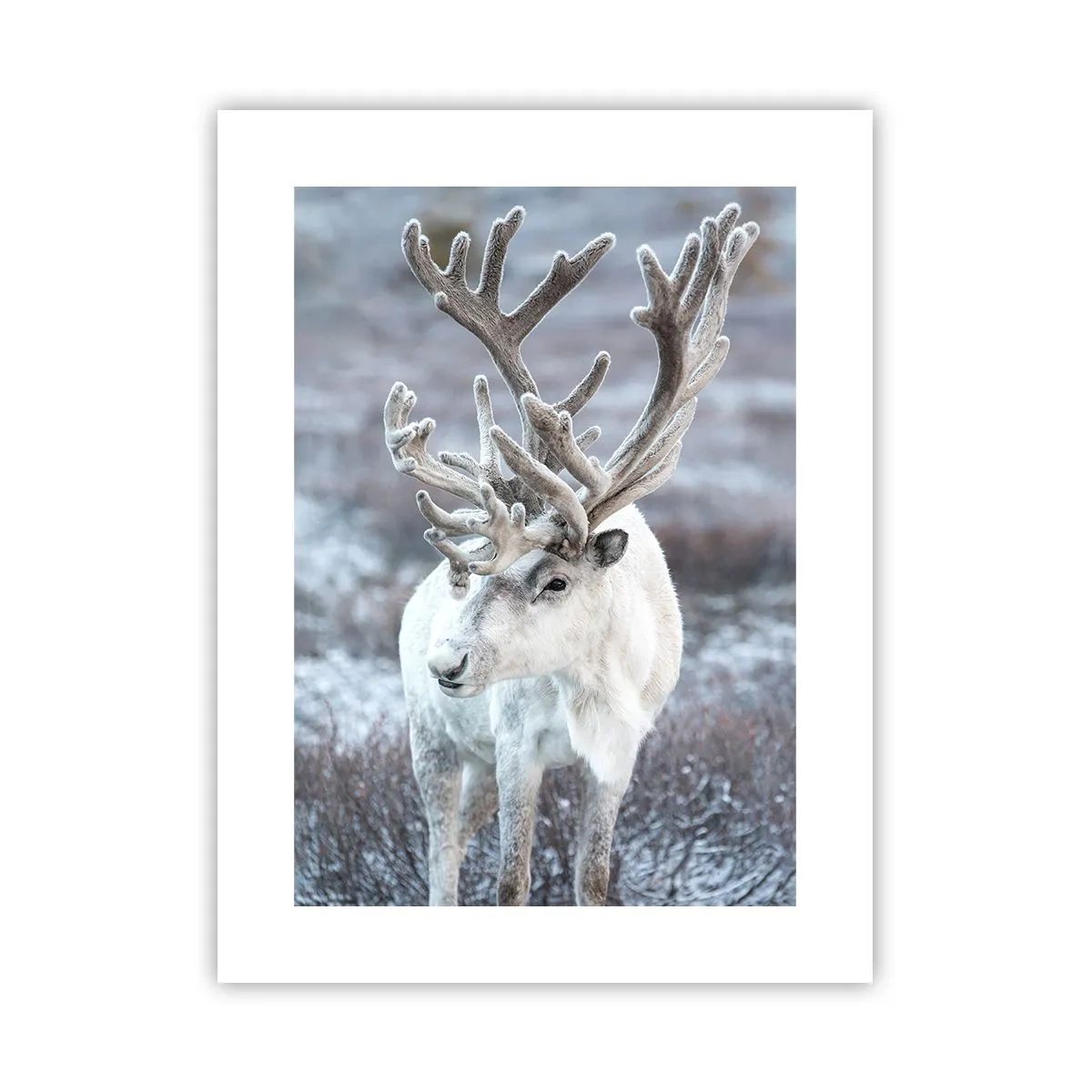 Poster - Portret la soare - 30x40 cm