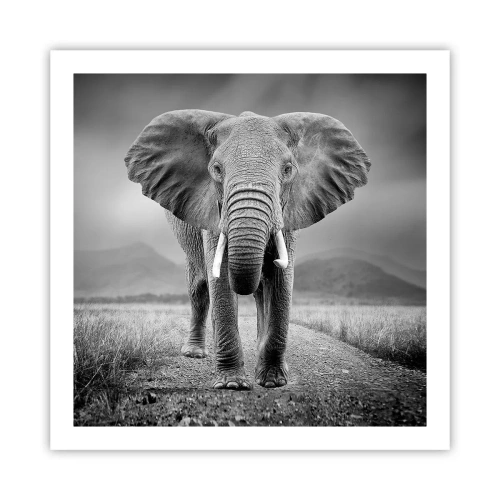 Poster - Gazda te salută - 60x60 cm