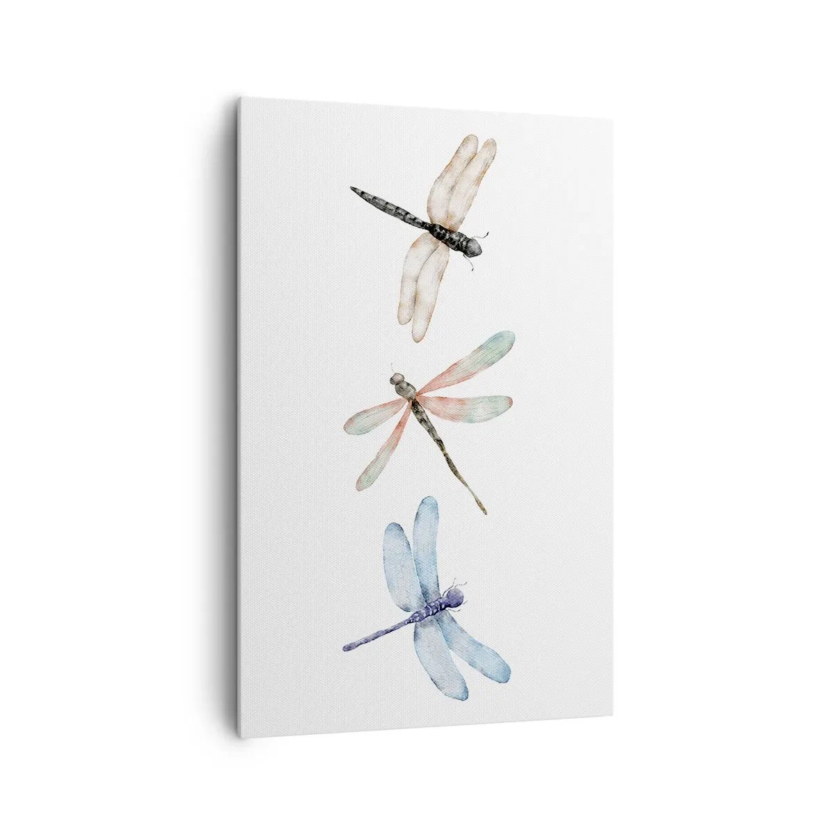 Tablou pe pânză - Libelule imponderabile - 80x120 cm