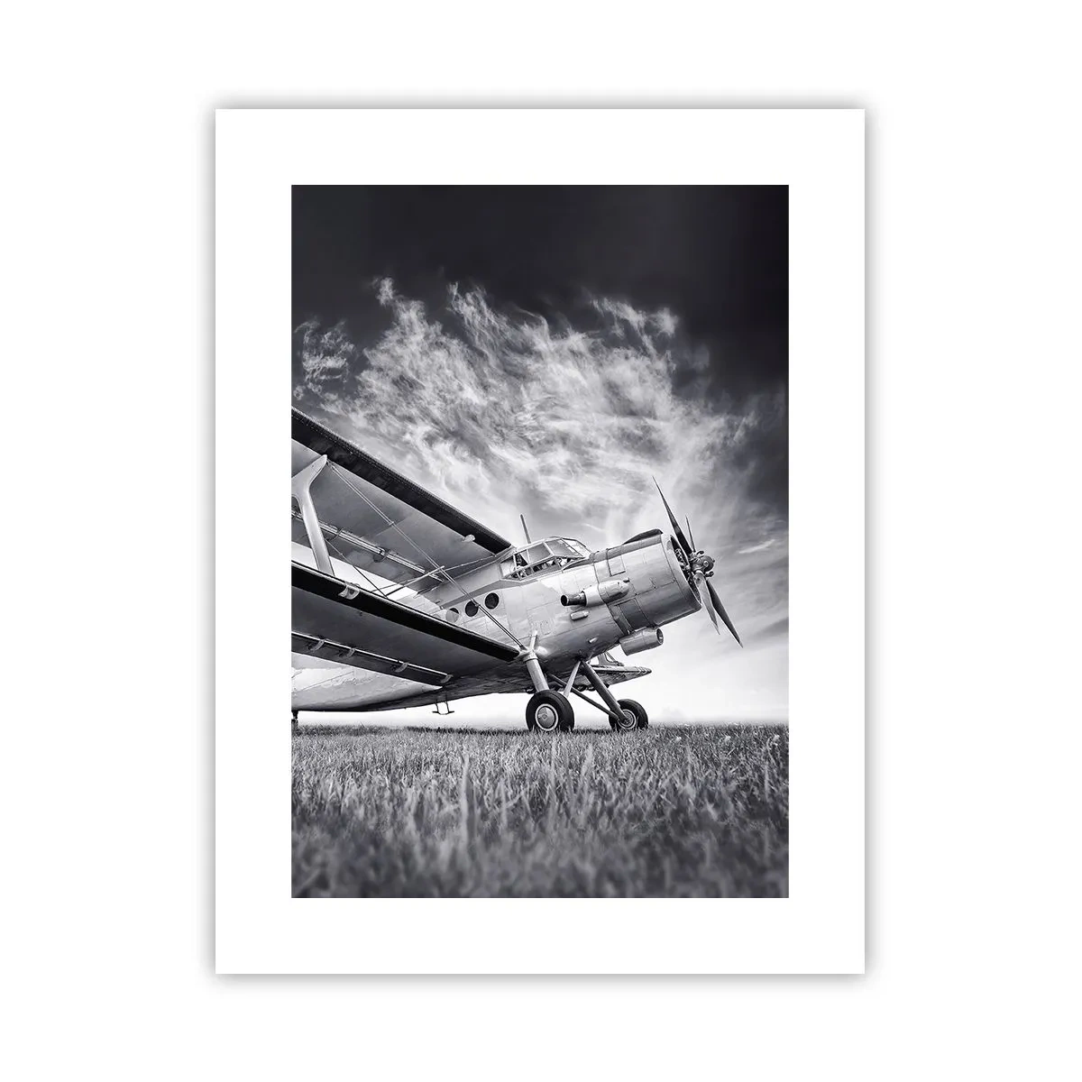 Poster - Rătăcitorul înaripat - 30x40 cm