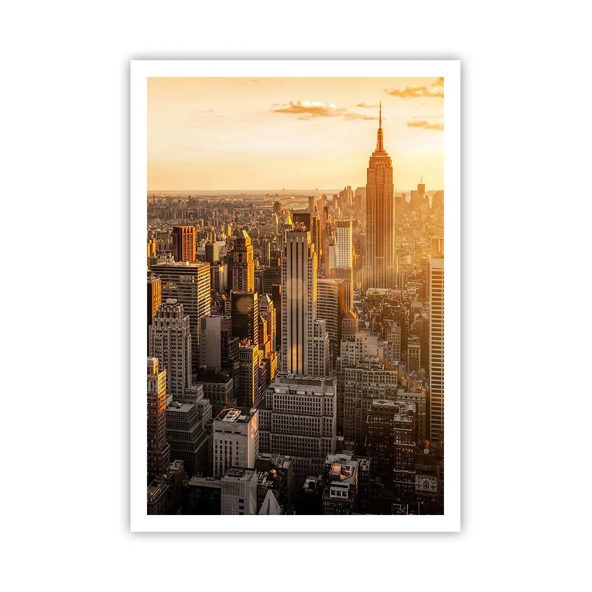 Poster - Crescând la soare - 70x100 cm