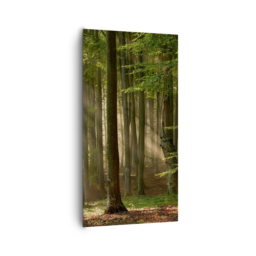 Tablou pe pânză - Strălucitoare într-o dimineață de primăvară - 65x120 cm