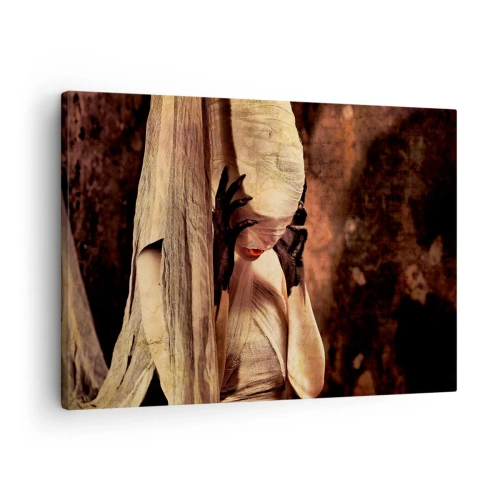 Tablou pe pânză Canvas - O femeie într-un voal cu un stil misterios pe un fundal întunecat - 70x50cm - Între bine și rău - Decorațiune modernă pentru perete pentru living și dormitor ARTTOR