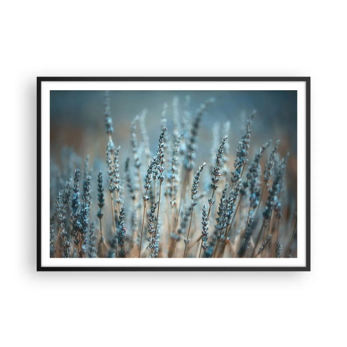 Poster în ramă neagră - Câmpul parfumat - 100x70 cm