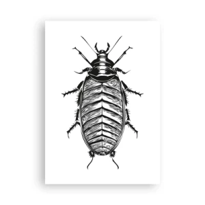 Poster - Ce specimen! - 70x100 cm