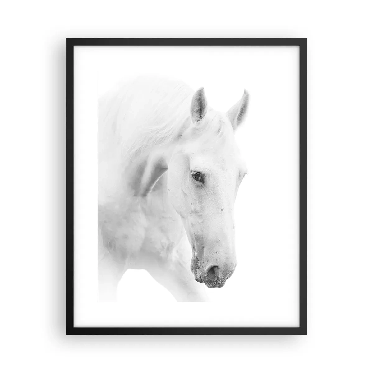 Poster în ramă neagră - Este aceasta o prietenie...? - 40x50 cm