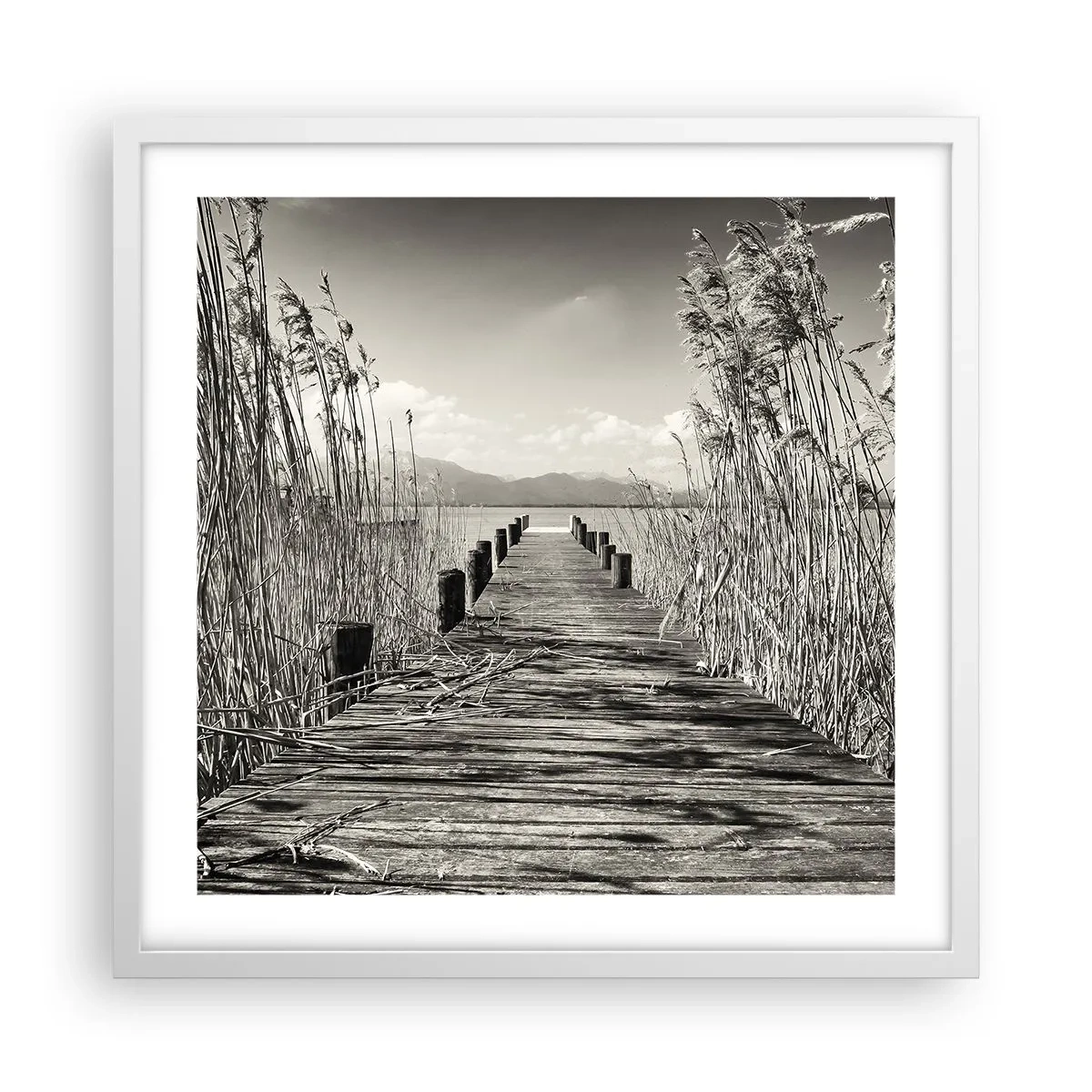 Poster în ramă albă - În intimitatea ierburilor - 50x50 cm