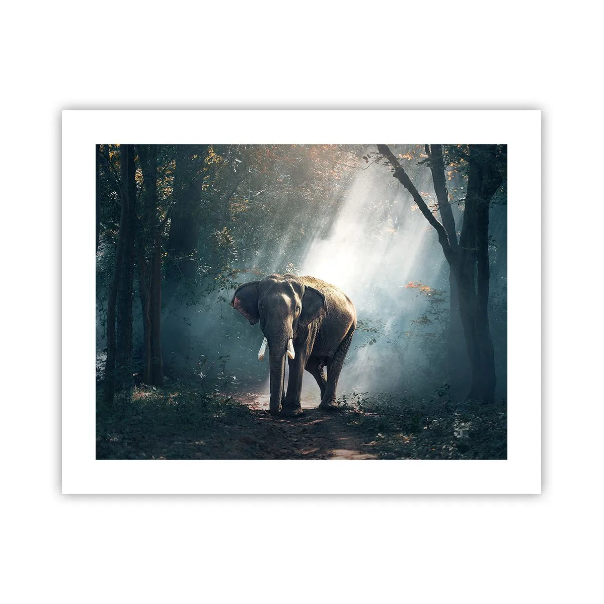 Poster - O plimbare liniștită - 50x40 cm