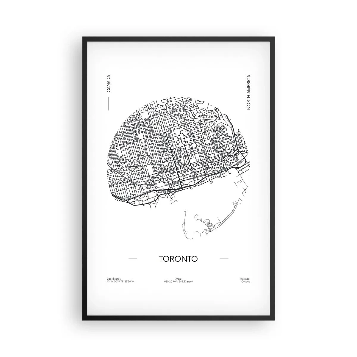 Poster în ramă neagră - Anatomia Toronto - 61x91 cm