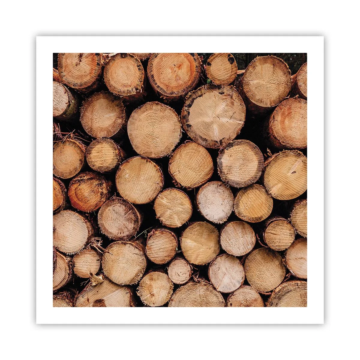 Poster - Un nou început - 60x60 cm