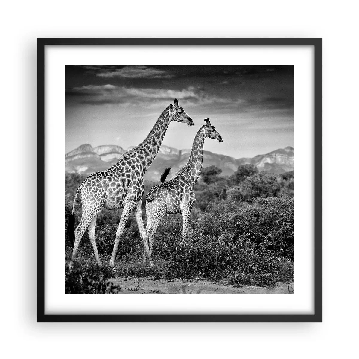 Poster în ramă neagră - Clasele superioare din Africa - 50x50 cm