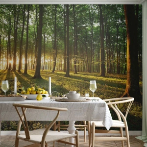 Tapet Autoadeziv Deluxe Sticker - Fotografia tuturor primăverilor - Peisaj, pădure, Natură - 300x210 cm