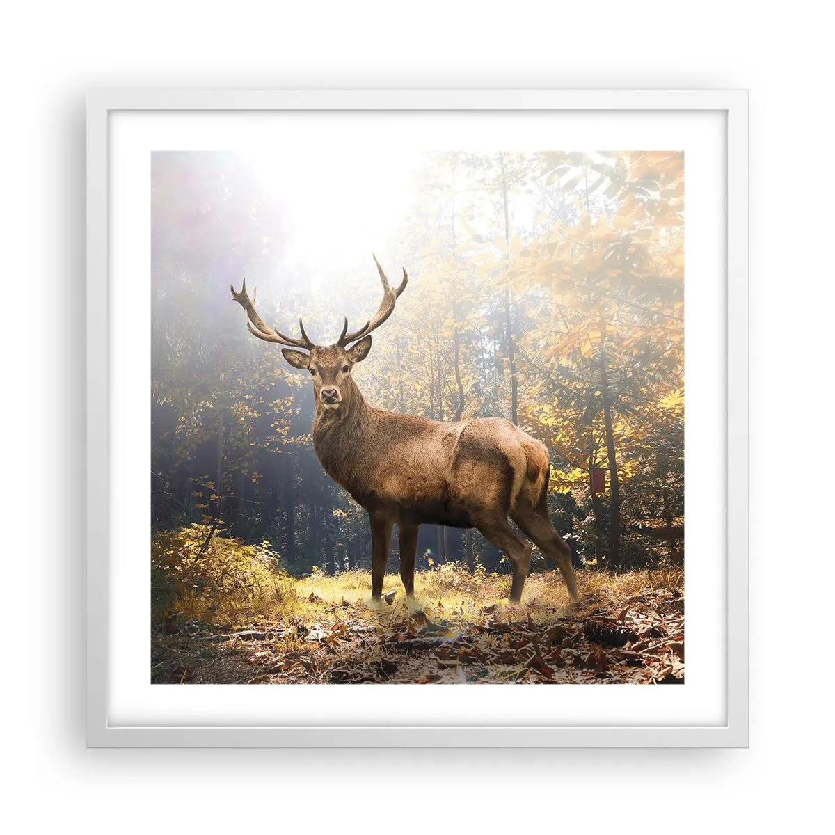 Poster în ramă albă - Măreție calmă - 50x50 cm