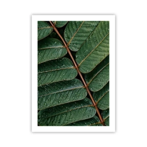 Poster - Într-un ritm verde - 50x70 cm
