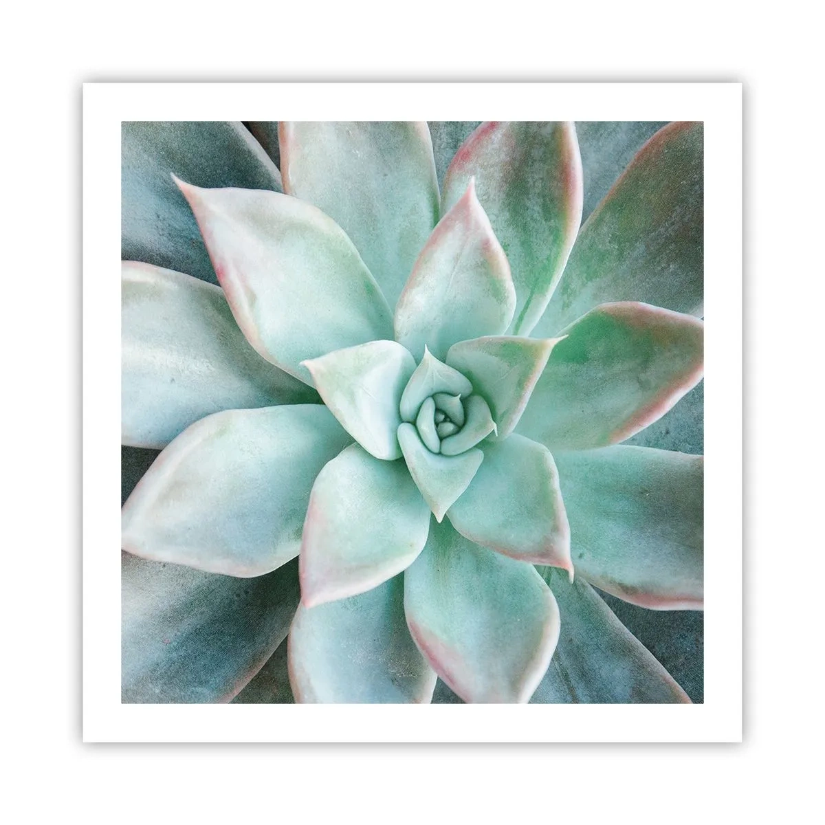 Poster - Inima deșertului - 60x60 cm