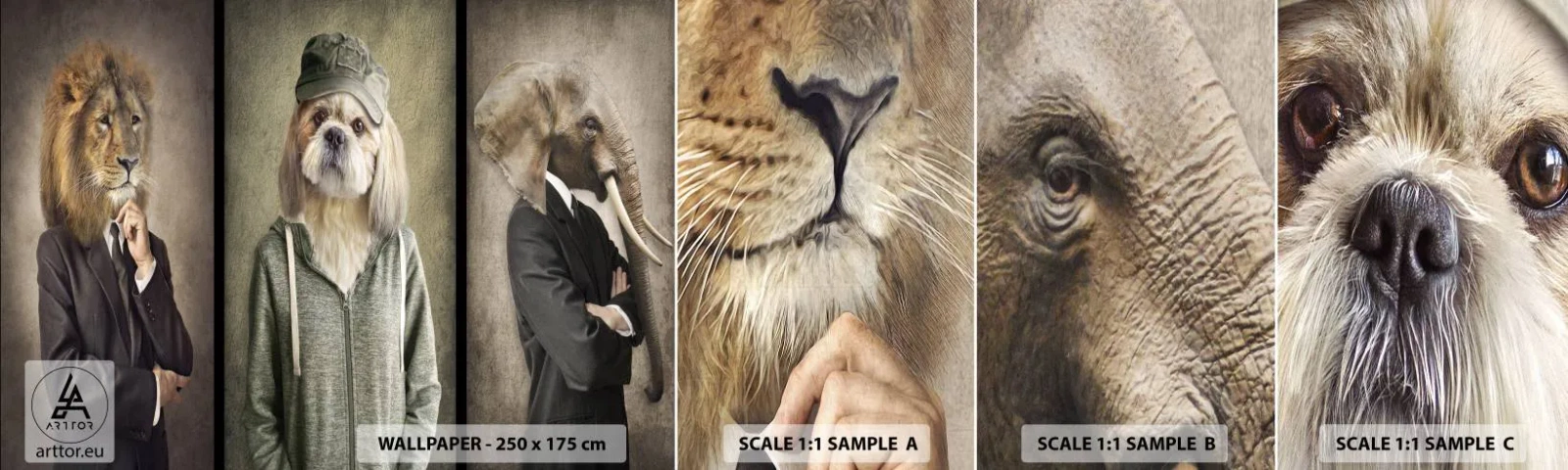 Mostră tapet autocolant Deluxe Sticker - Be cool - Abstracția, Leu, Câine - 100x30 cm