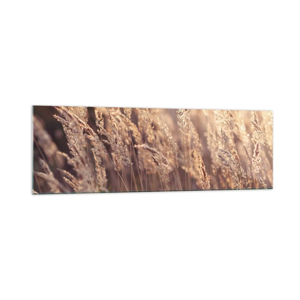 Tablou pe sticlă - Gata să întâmpine toamna - 160x50 cm