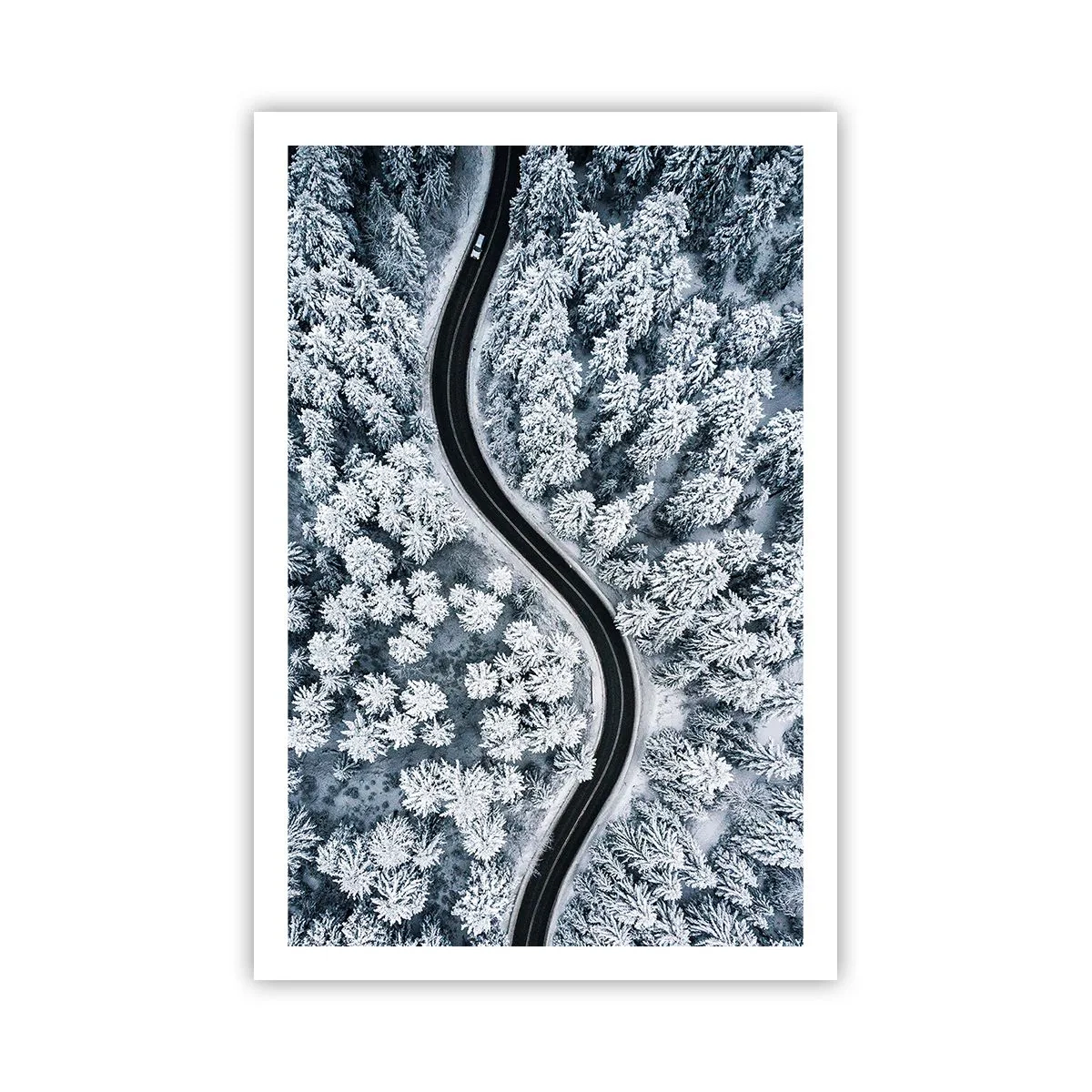 Poster - Prin pădurea de iarnă - 61x91 cm