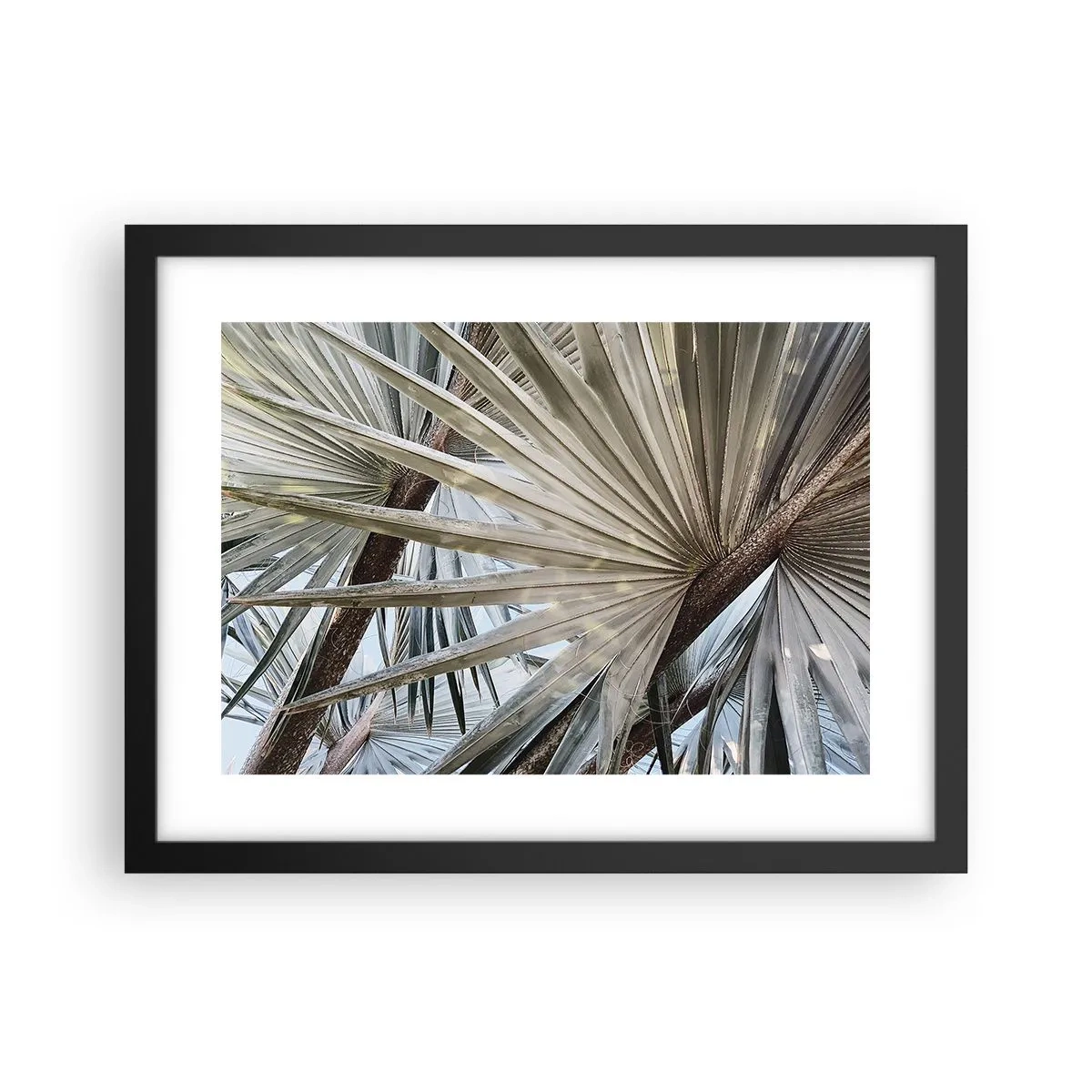 Poster în ramă neagră - Evantaie din tropice - 40x30 cm
