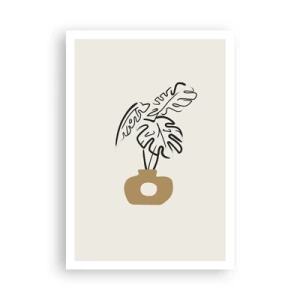 Poster - Monstera - decorarea casei - 70x100 cm