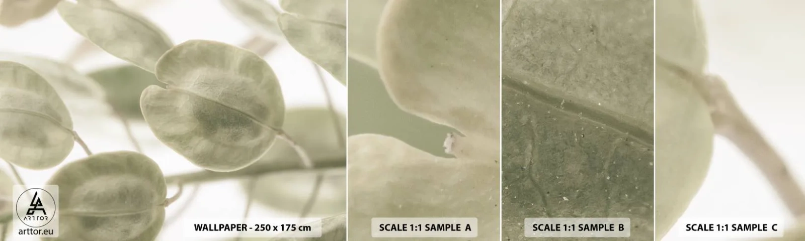 Mostră tapet autocolant Deluxe Sticker - La început au fost frunzele... - Flori, Calm, Frunze - 100x30 cm