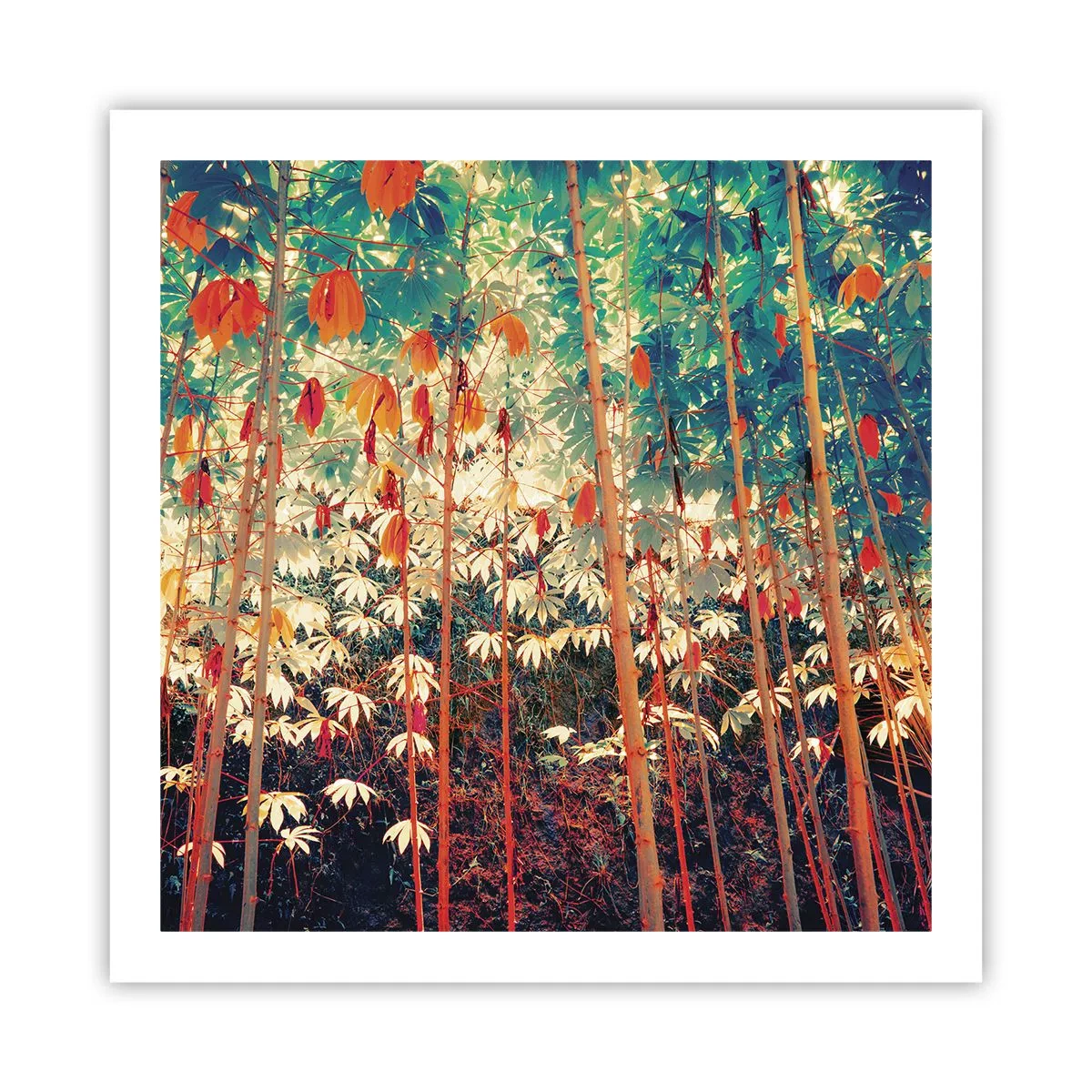 Poster - Viața secretă a frunzelor - 60x60 cm