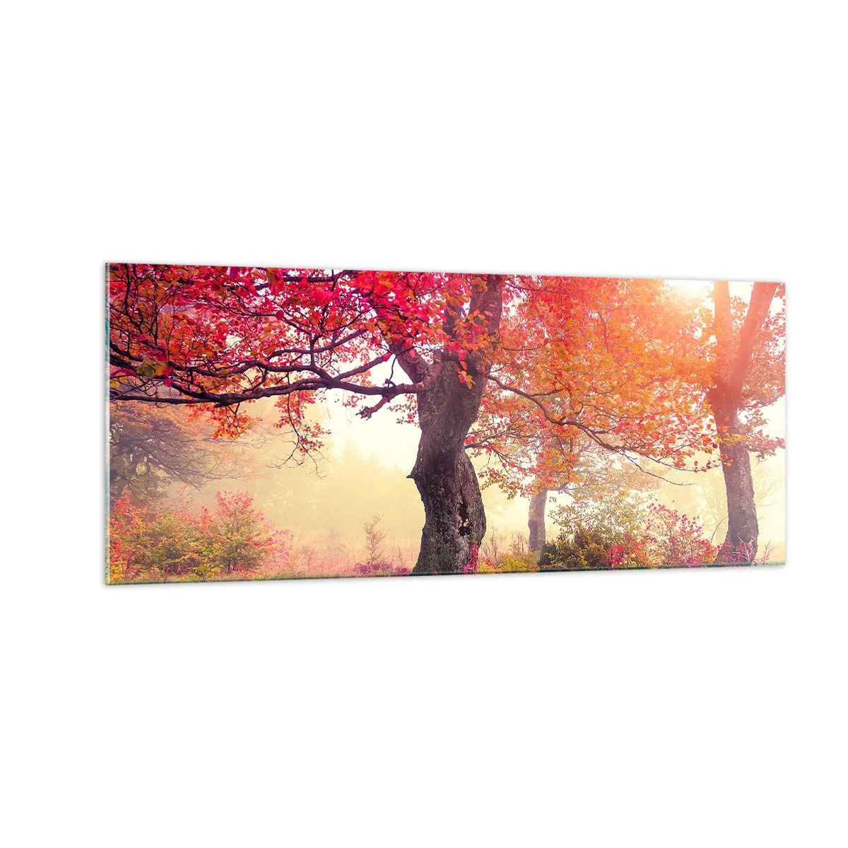Tablou pe sticlă - O frenezie de înflorire - 100x40 cm