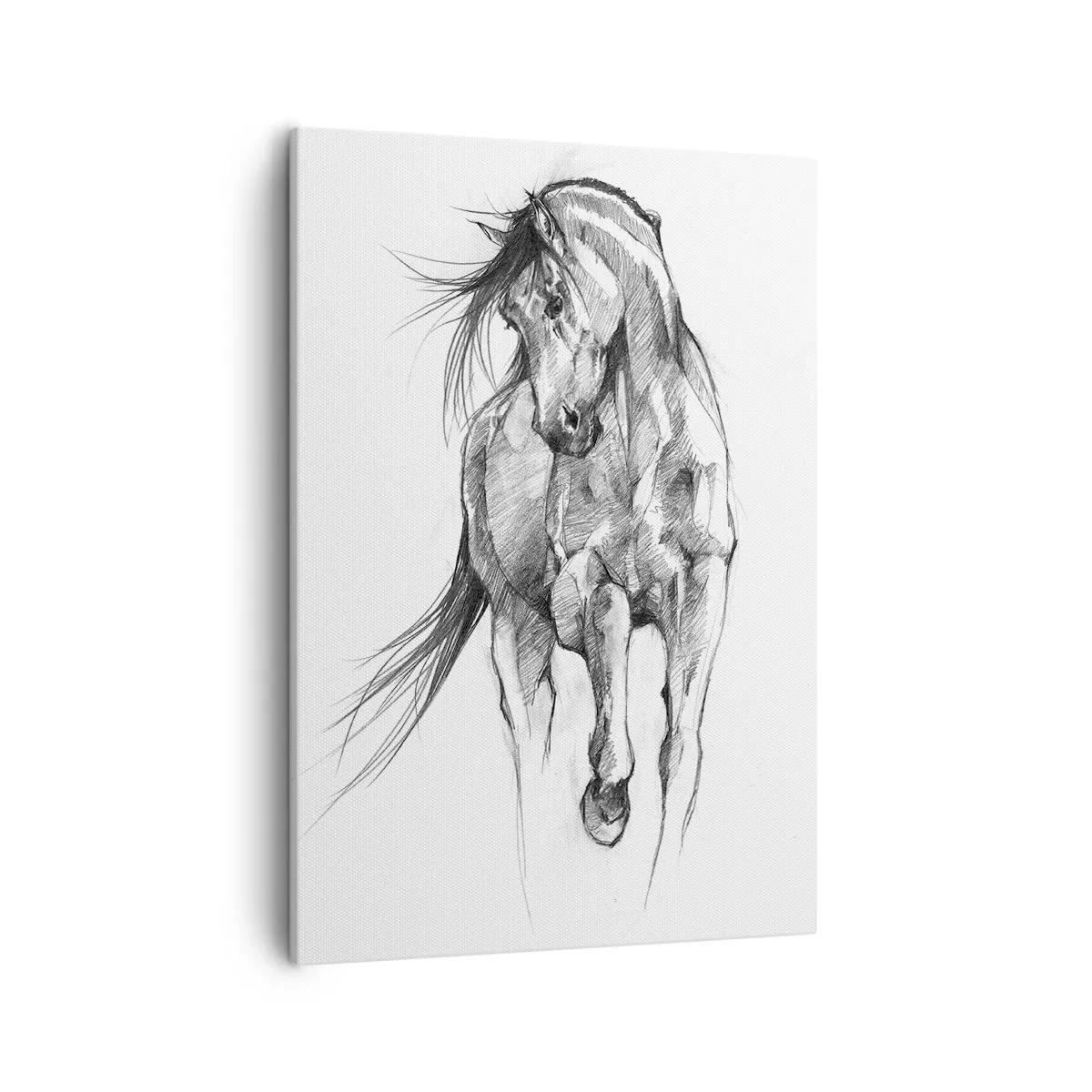 Tablou pe pânză - Într-un trap grațios - 50x70 cm