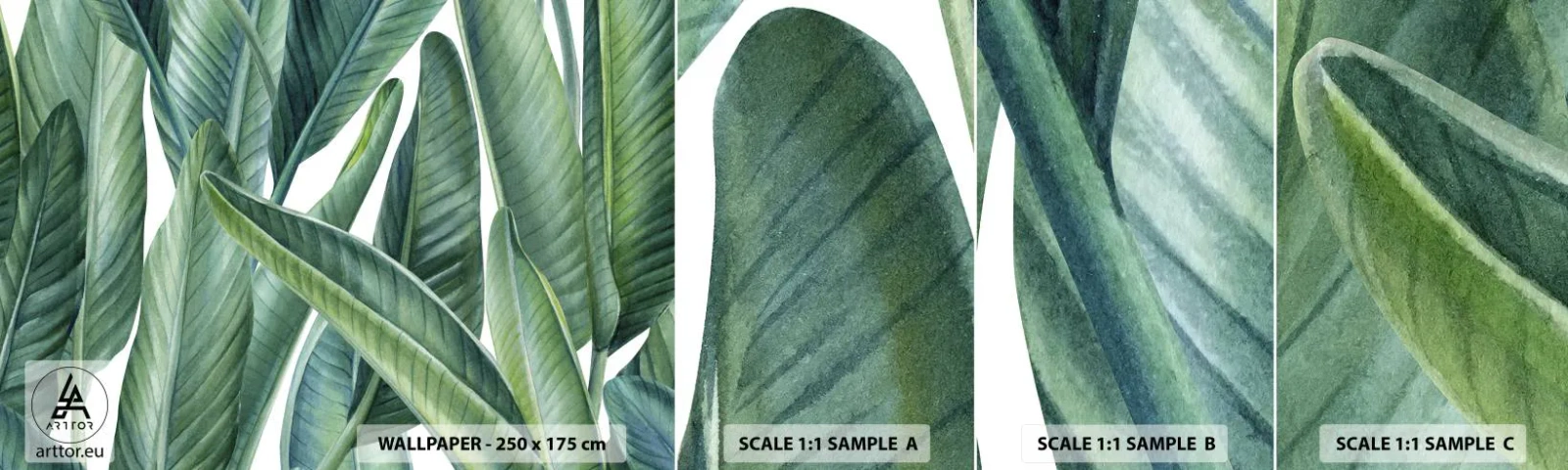 Mostră tapet autocolant Deluxe Sticker - Verdeața în sine - Frunze verzi, Planta tropicala, Natură - 100x30 cm