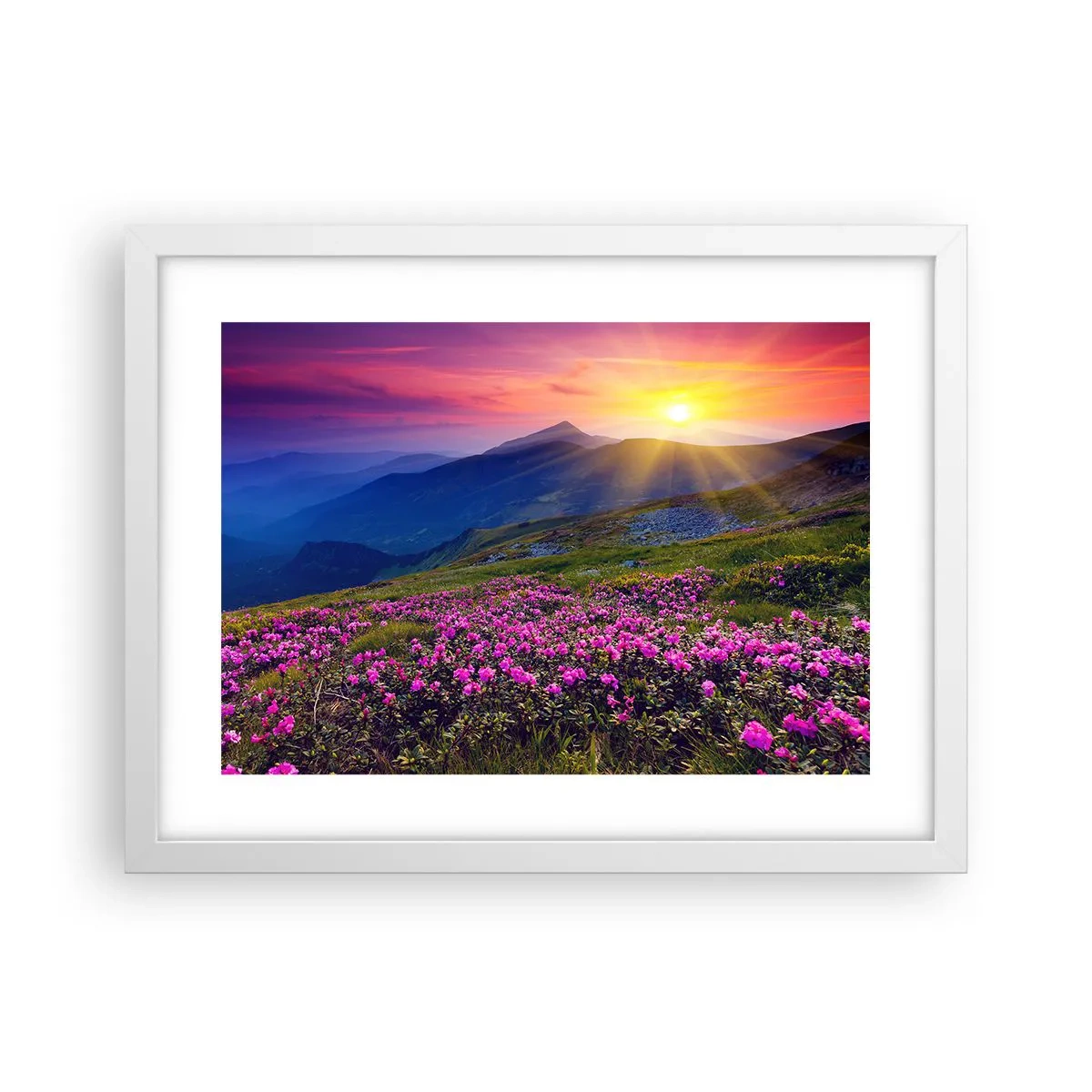 Poster în ramă albă - ... Și peste tot în jur se simte un miros de jneapăn și parfum de ierburi... - 40x30 cm