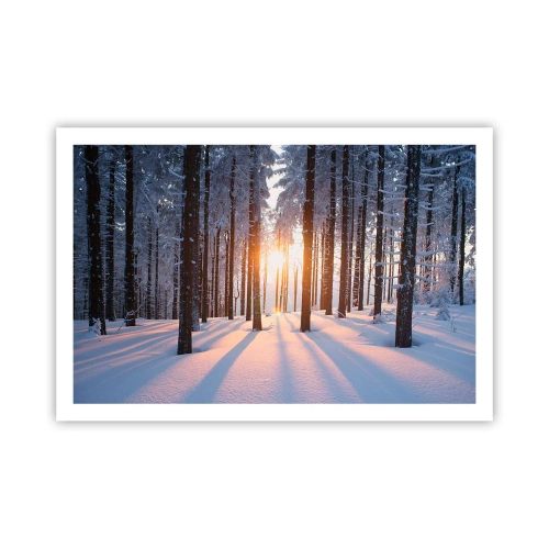 Poster - În mod clar în alb și negru - 91x61 cm