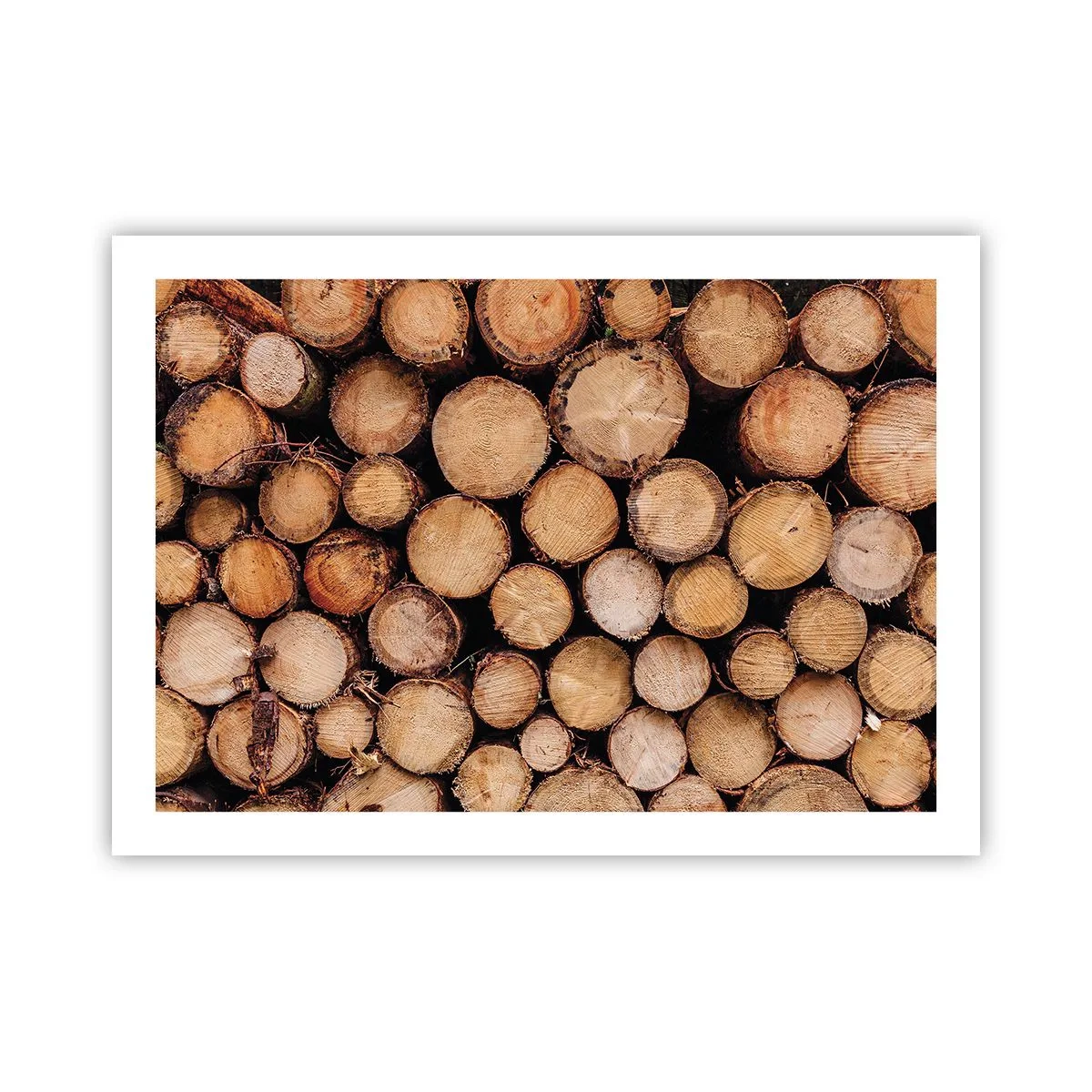 Poster - Un nou început - 70x50 cm