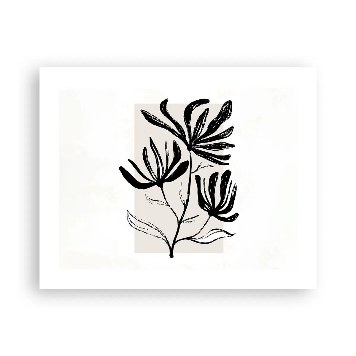 Poster - Schiță pentru ierbar - 50x40 cm