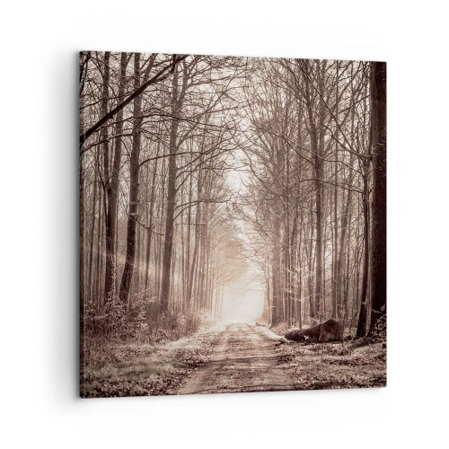 Tablou pe pânză - Catedrala Forestieră - 60x60 cm