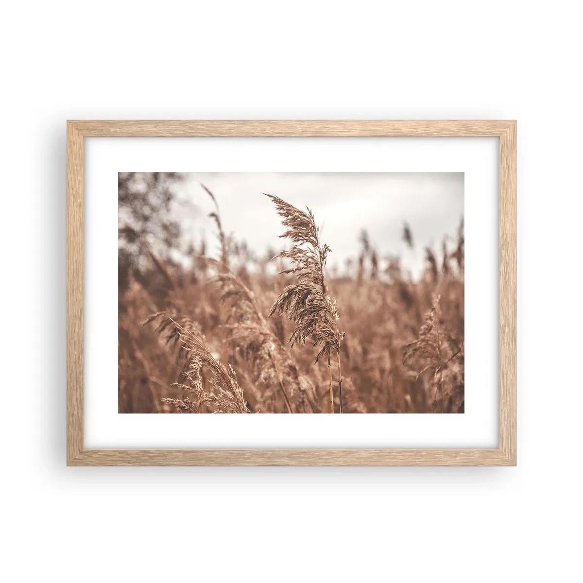 Poster în ramă de stejar deschis - Toamna pe câmpuri - 40x30 cm