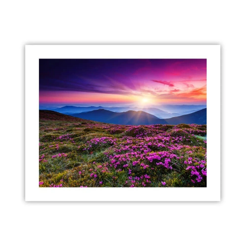 Poster - Ierburile proaspete miroseau puternic - 50x40 cm